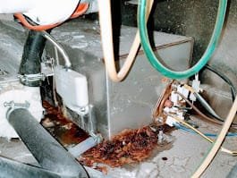 Detergent Hose Split on Commercial Dishwasher